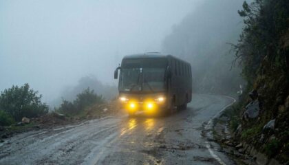Buses urbanos, interprovinciales y turísticos: faros, tipos y recomendaciones