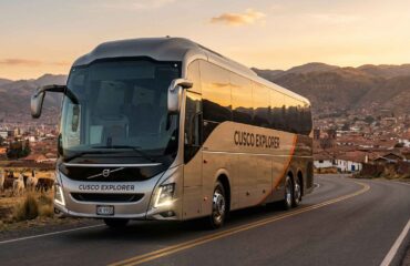 Buses urbanos, interprovinciales y turísticos: cómo elegir las mejores piezas