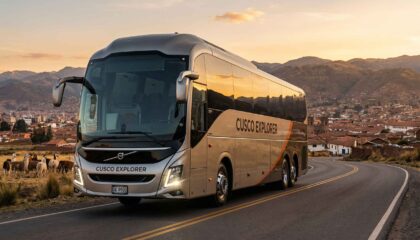 Buses urbanos, interprovinciales y turísticos: cómo elegir las mejores piezas